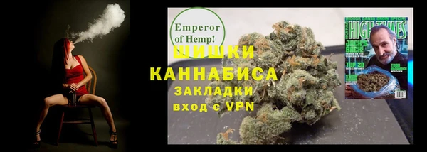 ПСИЛОЦИБИНОВЫЕ ГРИБЫ Арсеньев