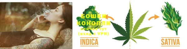 СК Магас